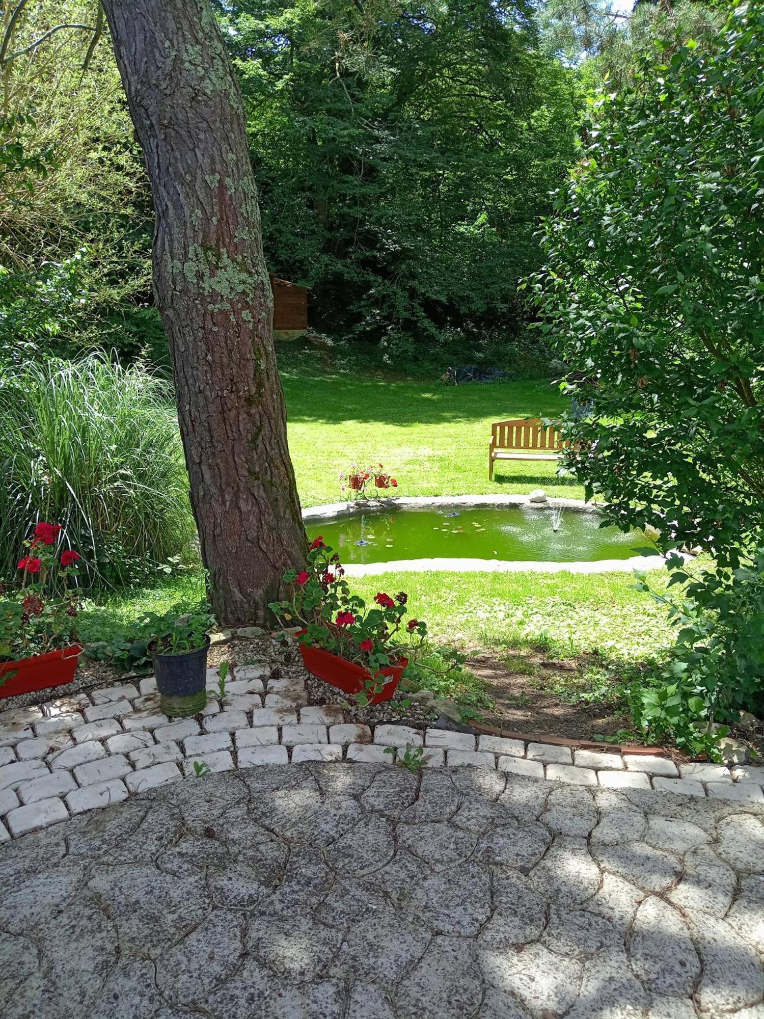 Chambres D'Hotes Du Moulin Saint-Julien-sur-Cher Eksteriør billede